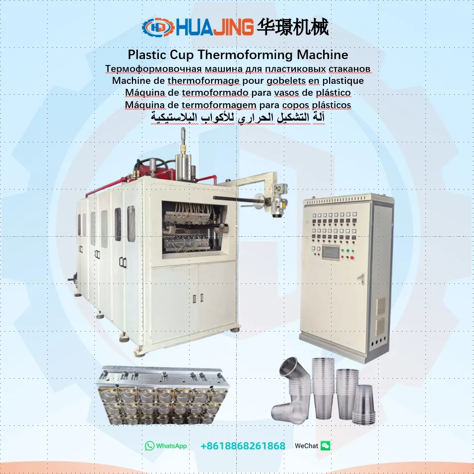 Cup Thermoforming Machine-Water Cup-Diameter70mm-21Cavities
