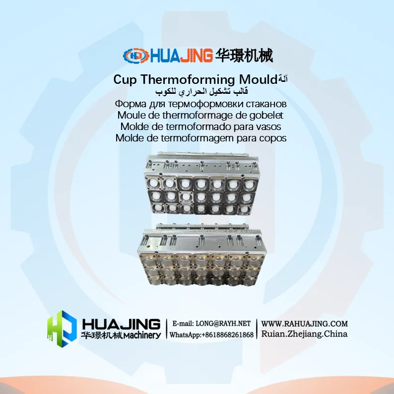 Cup Thermoforming Mould