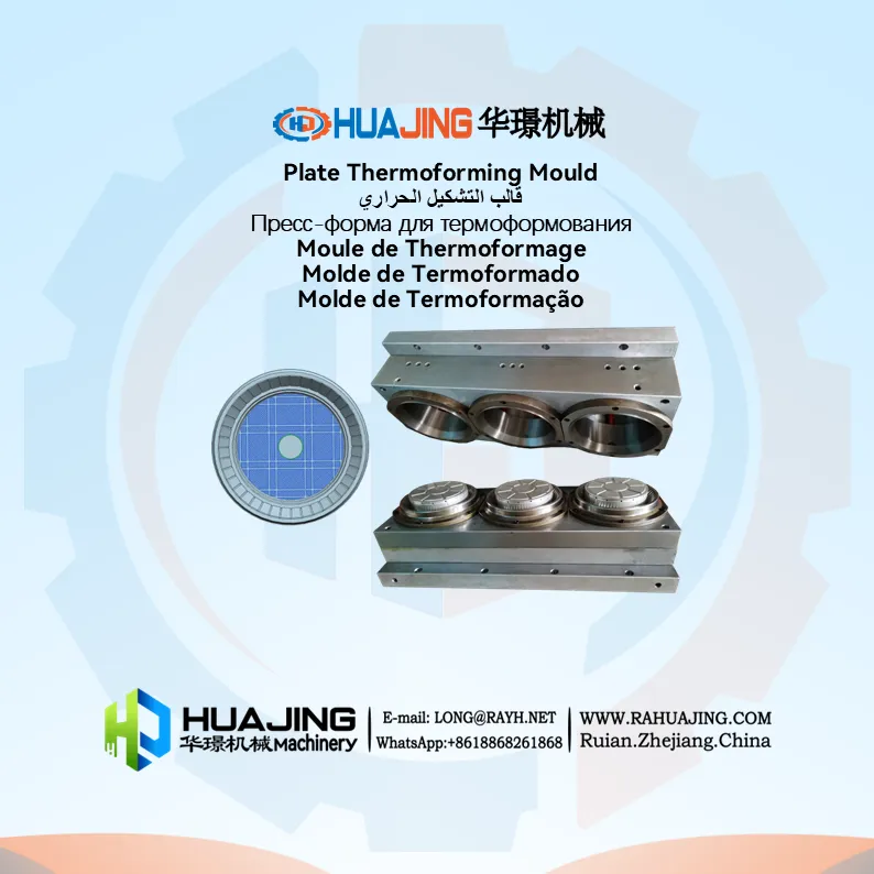 Plate Thermoforming Mould
